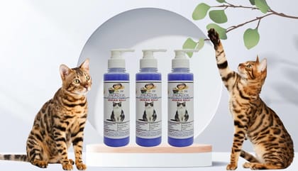 SWACCH Premium Shampoo for Indian Billi (200ML) (Pack of 3) Lavender