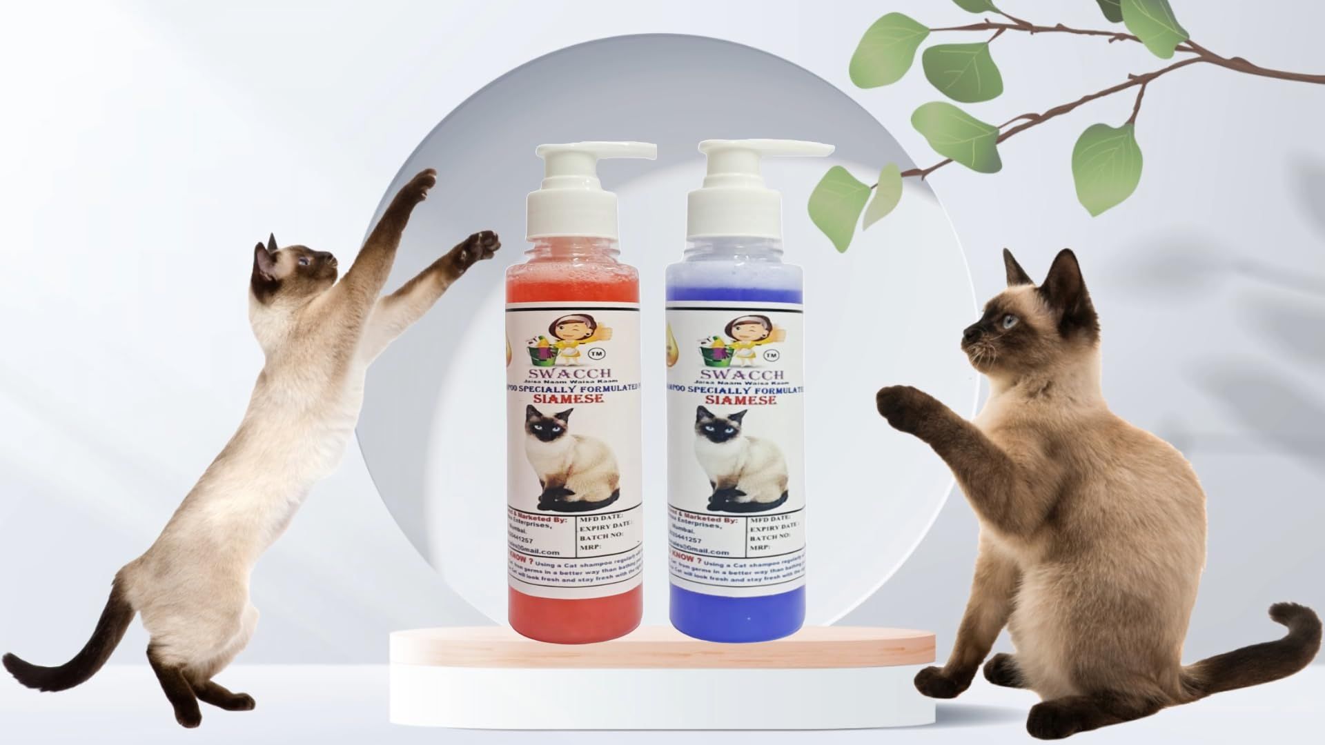 SWACCH Premium Shampoo for Siamese CAT (200ML) (Combo Pack of 2) Jasmine & Lavender