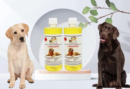 SWACCH Shampoo Specially FORMULATED for Labrador (500ML) (Pack of 2) Lemon SWACCH Shampoo Specially FORMULATED for Labrador (500ML) (Pack of 2) Lemon