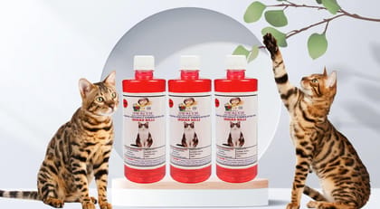 SWACCH Shampoo Specially FORMULATED for Indian Billi (500ML) (Pack of 3) Jasmine SWACCH Shampoo Specially FORMULATED for Indian Billi (500ML) (Pack of 3) Jasmine