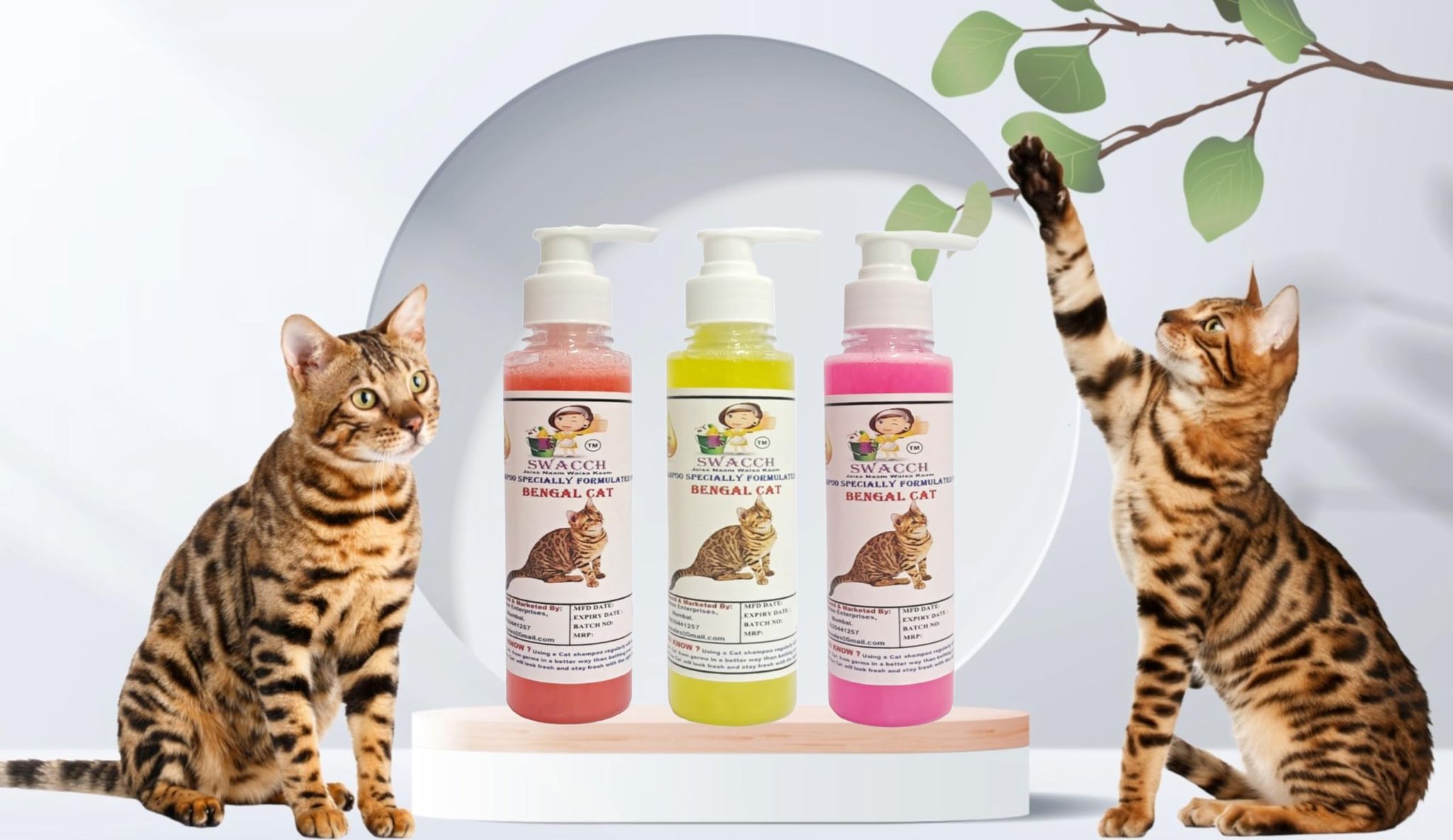 SWACCH Premium Shampoo for Bengal CAT (200ML) (Combo Pack of 3) Jasmine, Lemon & Rose