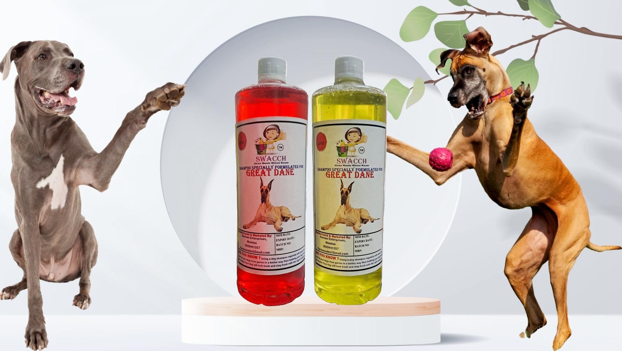 Swacch Shampoo Specially Formulated for Great DANE (1 Litre) (Combo Pack of 2) Strawberry & Lemon