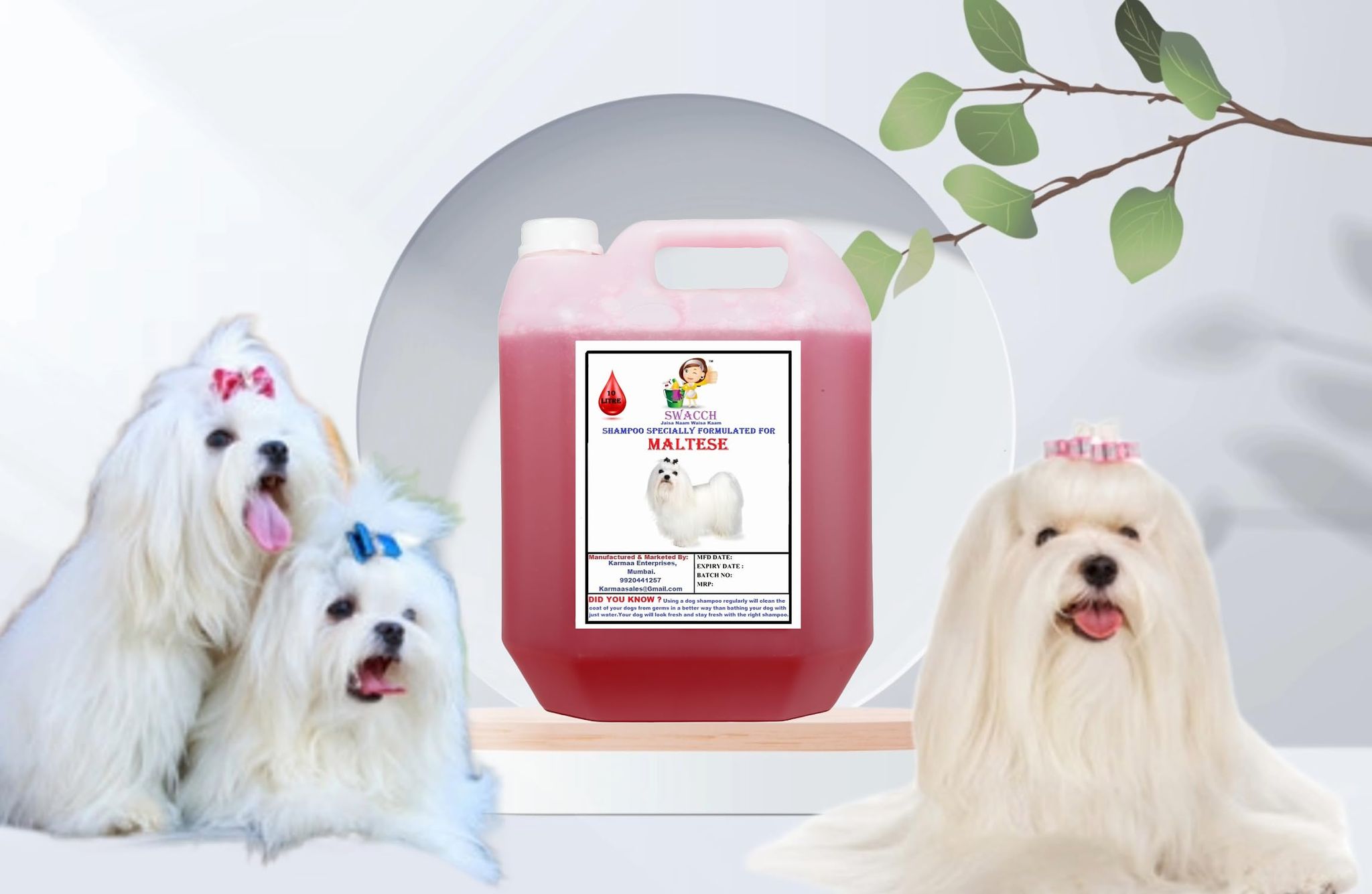 Swacch Shampoo Specially Formulated for Maltese (10 Litre) Jasmine