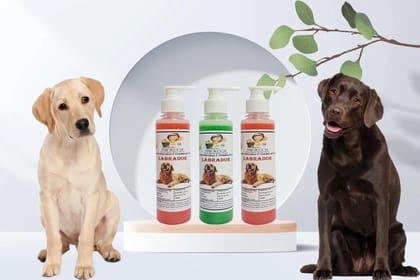 SWACCH Premium Shampoo for Labrador (200ML) (Combo Pack of 3) Jasmine, NEEM ALOVERA & Strawberry SWACCH Premium Shampoo for Labrador (200ML) (Combo Pack of 3) Jasmine, NEEM ALOVERA & Strawberry