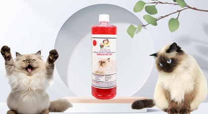 Swacch Shampoo Specially Formulated for Himalayan Cat (1 Litre) Jasmine Swacch Shampoo Specially Formulated for Himalayan Cat (1 Litre) Jasmine