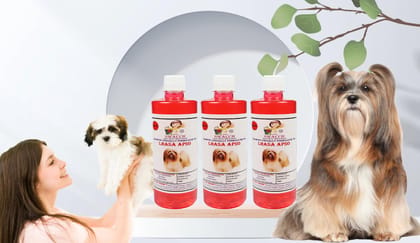 Swacch Shampoo Specially Formulated for Lhasa APSO (500ml) (Combo Pack of 3) Jasmine Swacch Shampoo Specially Formulated for Lhasa APSO (500ml) (Combo Pack of 3) Jasmine
