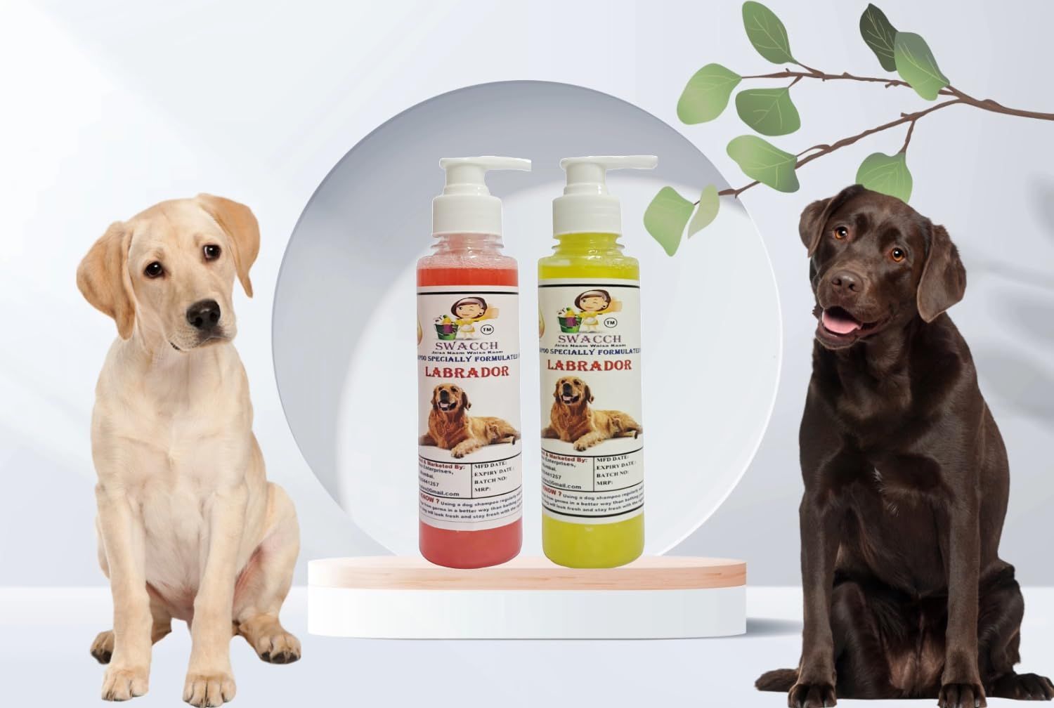 SWACCH Premium Shampoo for Labrador (200ML) (Combo Pack of 2) Jasmine & Lemon