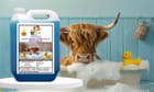 ... ...