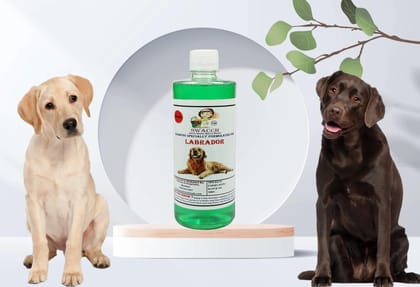 SWACCH Shampoo Specially FORMULATED for Labrador (500ML) NEEM ALOVERA