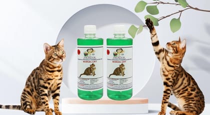 SWACCH Shampoo Specially FORMULATED for Bengal CAT (500ML) (Combo Pack of 2) NEEM ALOVERA
