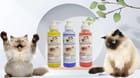 ... ...
