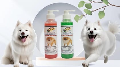 SWACCH Premium Shampoo for Pomeranian (200ML) (Combo Pack of 2) Jasmine & NEEM ALOVERA SWACCH Premium Shampoo for Pomeranian (200ML) (Combo Pack of 2) Jasmine & NEEM ALOVERA