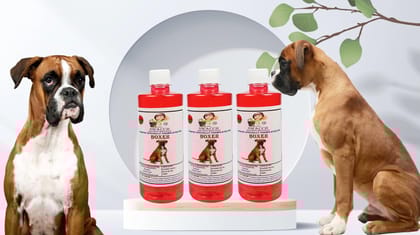 SWACCH Shampoo Specially FORMULATED for Boxer (500ML) (Combo Pack of 3) Strawberry