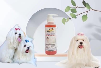 SWACCH Premium Shampoo for Maltese (200ML) Strawberry