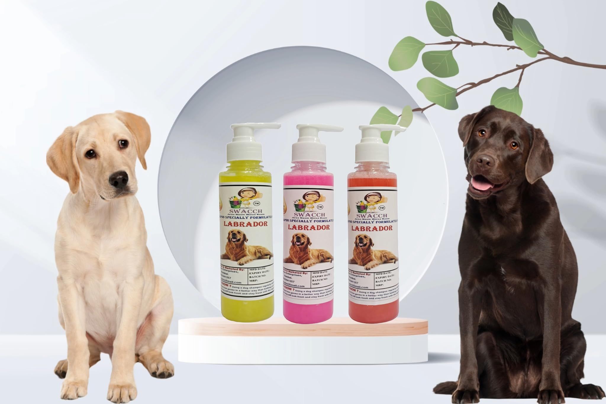 SWACCH Premium Shampoo for Labrador (200ML) (Combo Pack of 3) Lemon, Rose & Strawberry