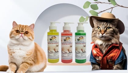 SWACCH Premium Shampoo for American Bobtail (200ML) (Combo Pack of 3) Lemon, Strawberry & NEEM ALOVERA