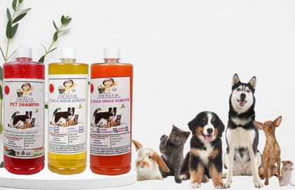 Swacch Shampoo (Strawberry) + Deodorizer (Lemon) + Stain Remover (Orange) 1 Litre Each