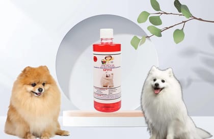 SWACCH Shampoo Specially FORMULATED for Strawberry (Spitz 500ML)