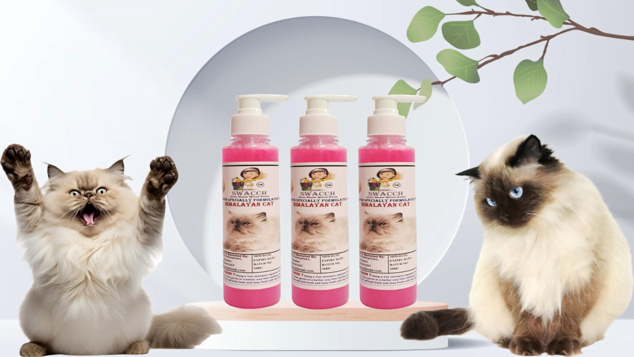 SWACCH Premium Shampoo for Himalayan CAT (200ML) (Pack of 3) Rose