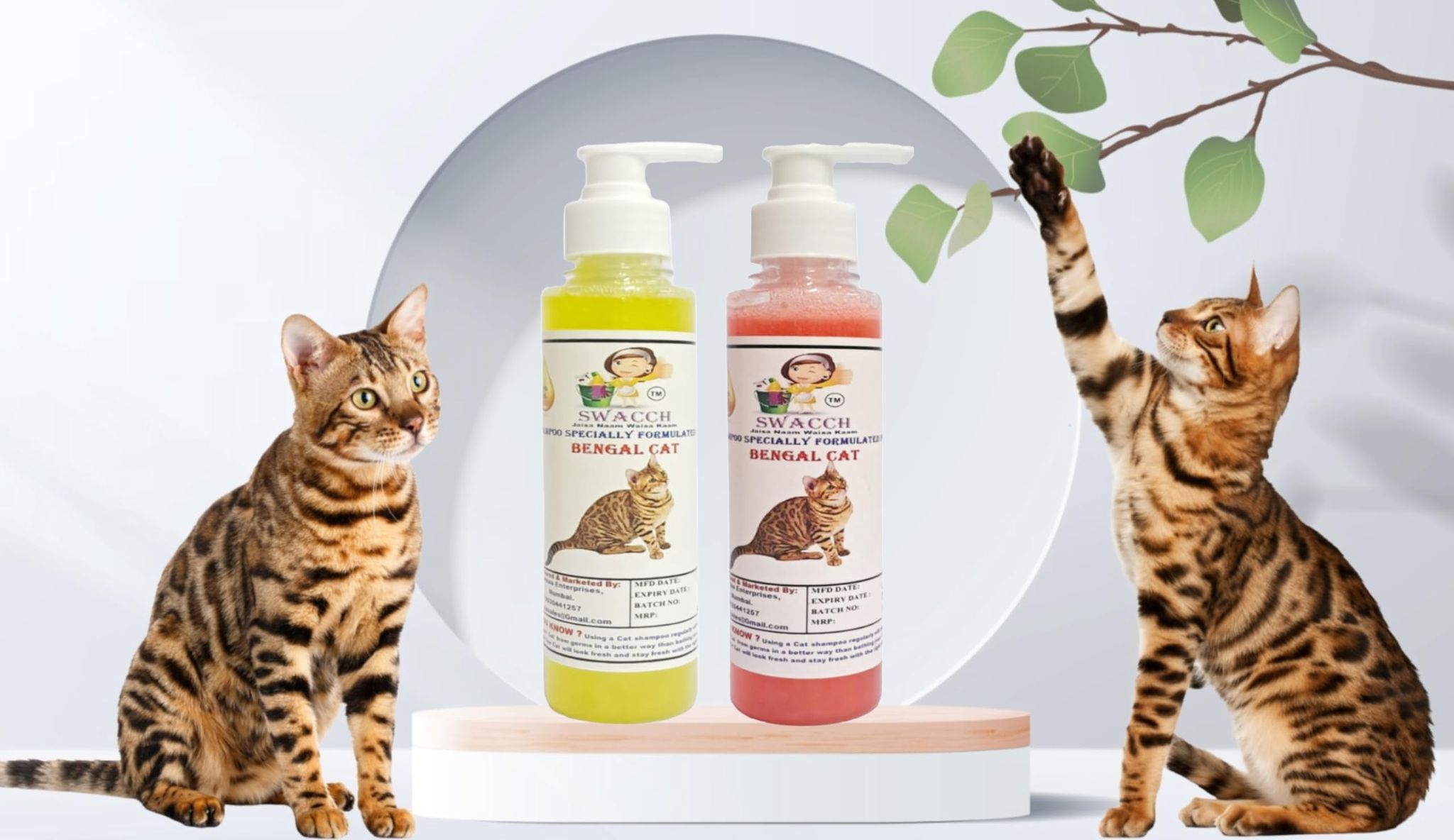 SWACCH Premium Shampoo for Bengal CAT (200ML) (Combo Pack of 2) Lemon & Strawberry
