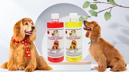 SWACCH Shampoo Specially FORMULATED for Cocker Spaniel (500ML) (Combo Pack of 2) Jasmine & Lemon SWACCH Shampoo Specially FORMULATED for Cocker Spaniel (500ML) (Combo Pack of 2) Jasmine & Lemon