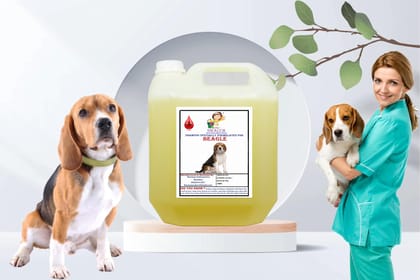 Swacch Shampoo Specially Formulated for Beagle (10 Litre) Lemon Swacch Shampoo Specially Formulated for Beagle (10 Litre) Lemon