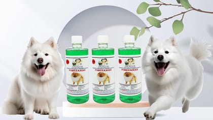 Swacch Shampoo Specially Formulated for Pomeranian (500ml) (Combo Pack of 3) Neem Alovera