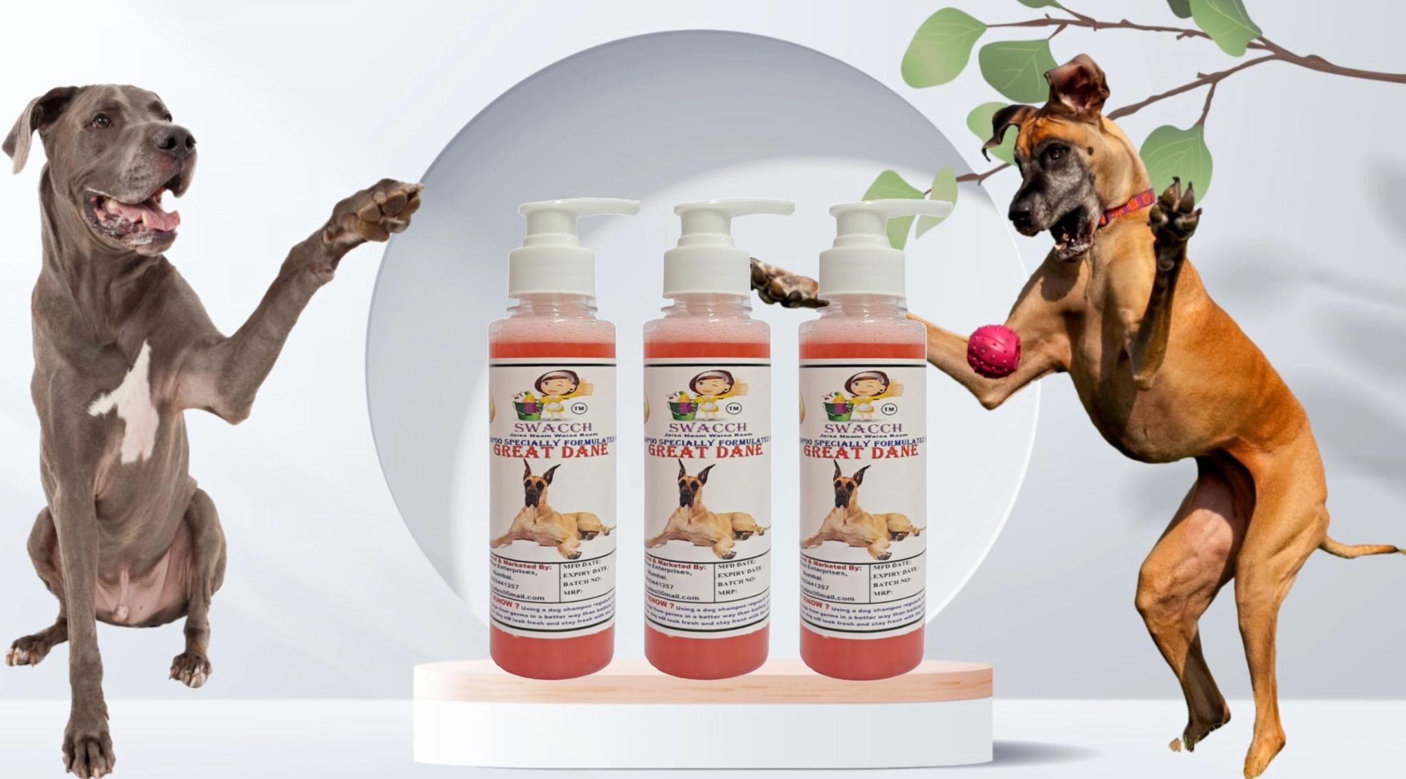 SWACCH Premium Shampoo for Great DANE (200ML) (Pack of 3) Jasmine