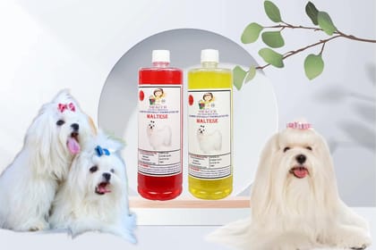 Swacch Shampoo Specially Formulated for Maltese (1 Litre) (Combo Pack of 2) Jasmine & Lemon Swacch Shampoo Specially Formulated for Maltese (1 Litre) (Combo Pack of 2) Jasmine & Lemon