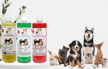 Swacch Shampoo (Lemon) + Deodorizer (Jasmine) + Stain Remover (Strawberry) 1 Litre Each