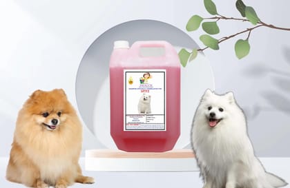 Swacch Shampoo Specially Formulated for Spitz (5 Litre) Jasmine