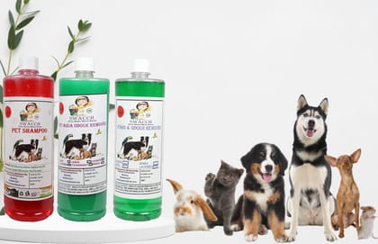 Swacch Shampoo (Strawberry) + Deodorizer (Mogra) + Stain Remover (Jasmine) 1 Litre Each