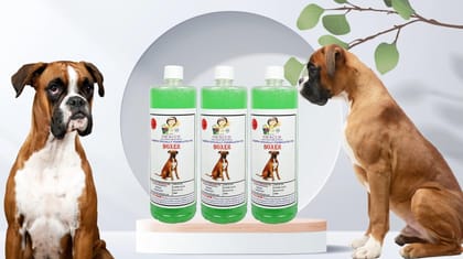 SWACCH Shampoo Specially FORMULATED for Boxer (1 Litre) (Pack of 3) NEEM ALOVERA
