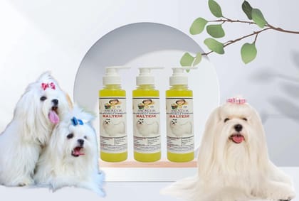 SWACCH Premium Shampoo for Maltese (200ML) (Pack of 3) Lemon