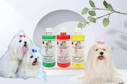 Swacch Shampoo Specially Formulated for Maltese (500ml) (Combo Pack of 3) Neem Alovera, Strawberry & Lemon Swacch Shampoo Specially Formulated for Maltese (500ml) (Combo Pack of 3) Neem Alovera, Strawberry & Lemon