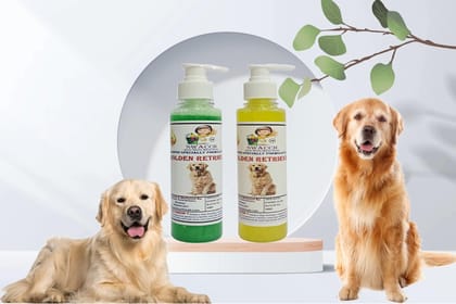 SWACCH Premium Shampoo for Golden Retriever (200ML)(Combo Pack of 2) NEEM ALOVERA & Lemon SWACCH Premium Shampoo for Golden Retriever (200ML)(Combo Pack of 2) NEEM ALOVERA & Lemon