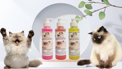 SWACCH Premium Shampoo for Himalayan CAT (200ML) (Combo Pack of 3) Rose, Strawberry & Lemon