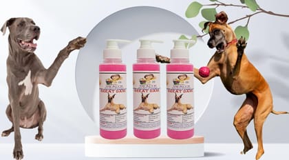 SWACCH Premium Shampoo for Great DANE (200ML) (Pack of 3) Rose