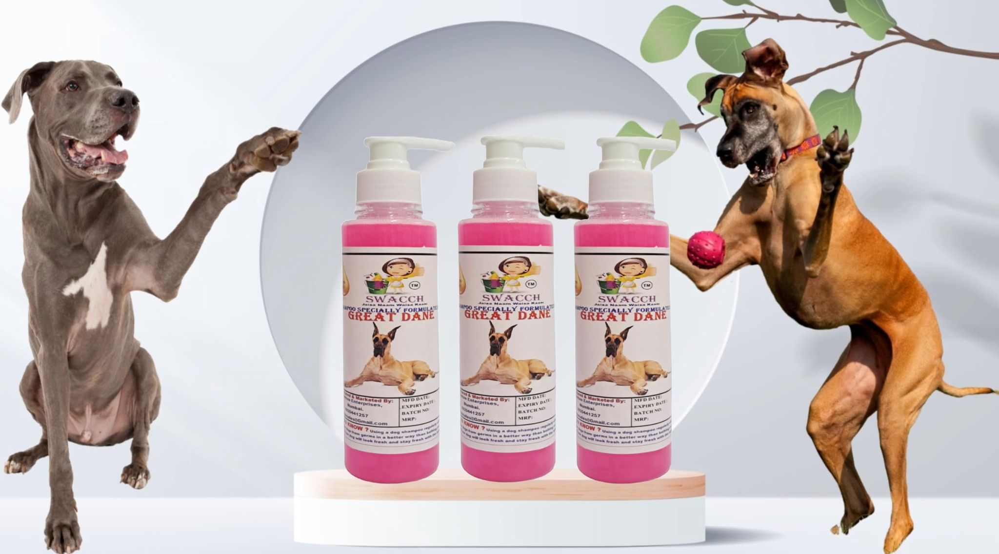 SWACCH Premium Shampoo for Great DANE (200ML) (Pack of 3) Rose