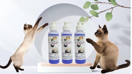 SWACCH Premium Shampoo for Siamese CAT (200ML) (Pack of 3) Lavender SWACCH Premium Shampoo for Siamese CAT (200ML) (Pack of 3) Lavender