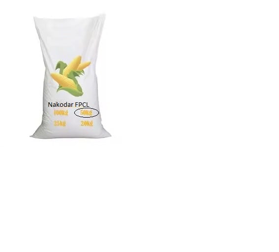 Corn 9108 (50kg)
