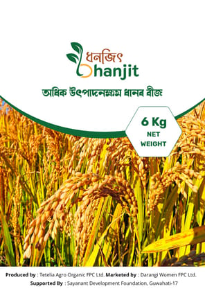 BINA DHAN 11 PADDY SEEDS
