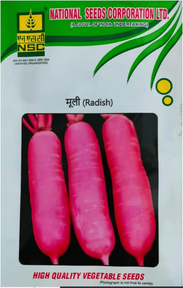 NSC AGRA NSC RADISH Kashi Lohit T/L SEEDr