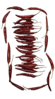 ... ...