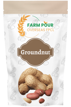 Groundnut Seeds Groundnut Seeds