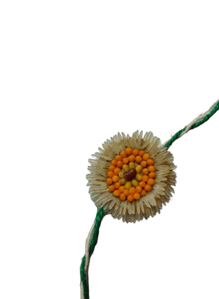 Eco-Friendly Rakhi with Jaggery Batasha