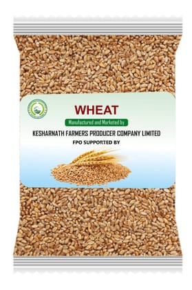Wheat