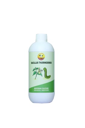 BACILLUS THURINGIENSIS BACILLUS THURINGIENSIS