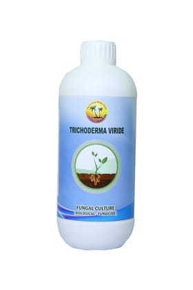 Trichoderma viride Trichoderma viride