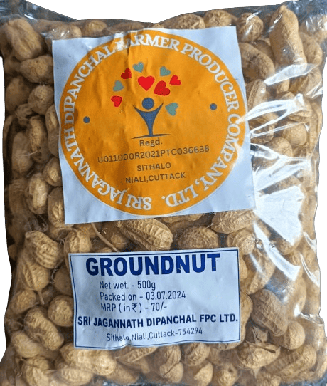 Raw Groundnut